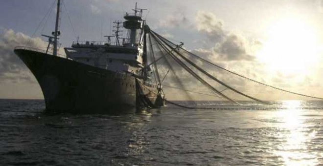 El Parlamento Europeo se opone a la pesca eléctrica