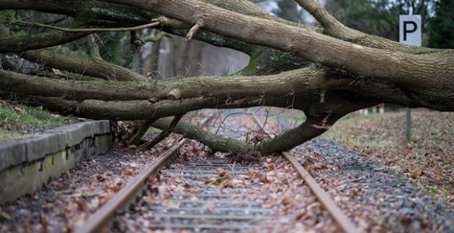 Una tormenta deja siete muertos en Holanda, Bélgica y Alemania y paraliza los transportes