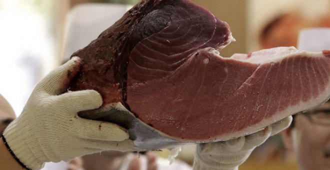 Más del 60% de las alertas por mercurio en la UE vienen del pescado español