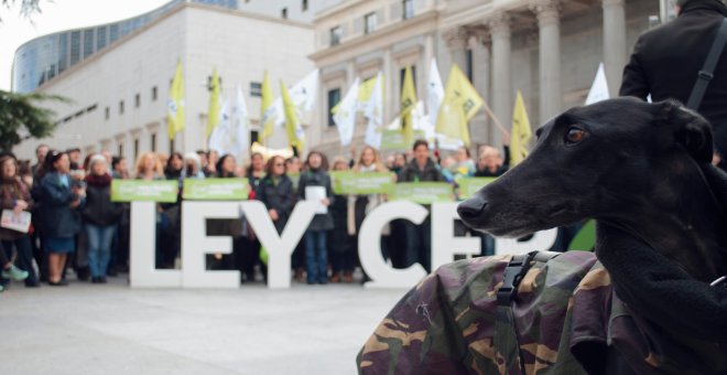 PACMA exige frente al Congreso una ley estatal para la protección animal