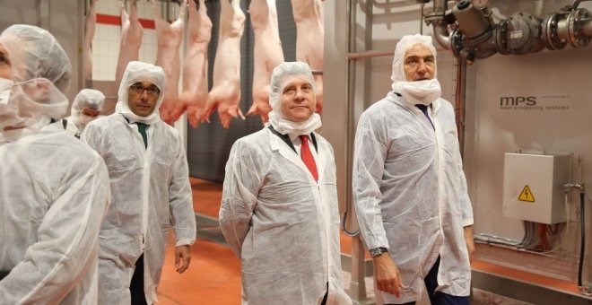 La Junta de Castilla-La Mancha, bajo sospecha por su relación con el matadero que vulneró las normas de bienestar animal