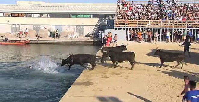 Una vaquilla muere al caer al agua en los Bous a la Mar de Benicarló