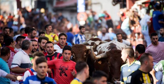 La Generalitat Valenciana multa a la madre de un menor por permitir que su hijo participara en un festejo taurino