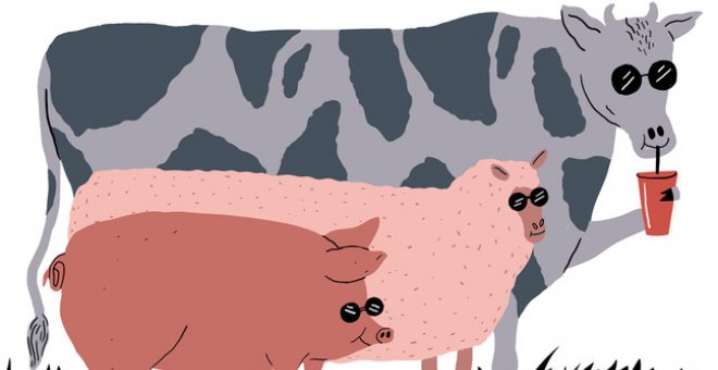 Bienestar animal en las granjas: no sólo es una cuestión ética, sino también económica