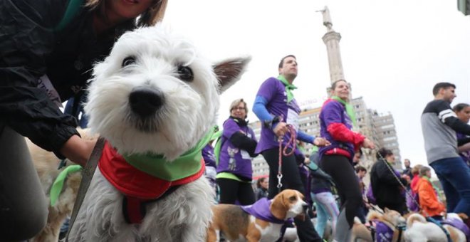 Miles de corredores participan en Madrid en la VII Perrotón por la adopción de animales