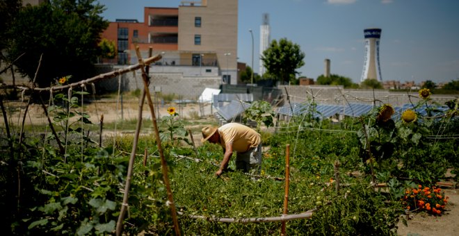 Los científicos declaran la emergencia climática y esto es lo que tú puedes hacer para combatirla