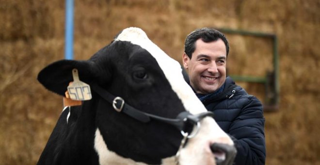 De la vaca que vota a los Jedi que defendían la república, el anecdotario de campaña del candidato del PP Juanma Moreno