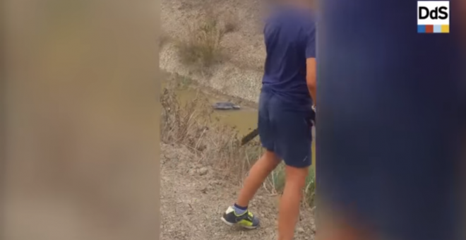 Un cazador anima a su hijo de nueve años a disparar contra aves protegidas