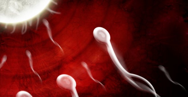 La calidad del esperma influye en los abortos recurrentes