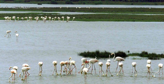 Moreno se compromete a proteger Doñana y estudia la revisión del proyecto gasístico