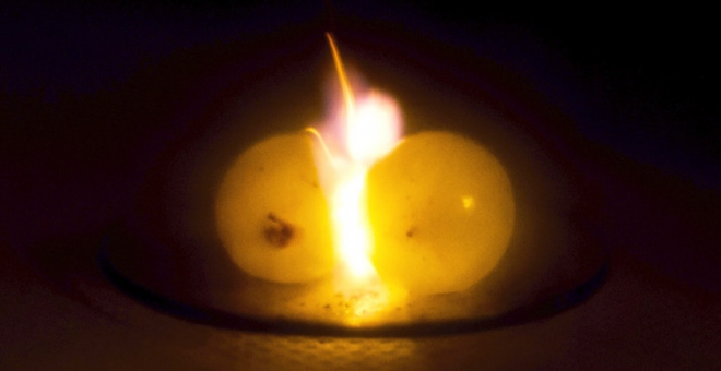 Las uvas en llamas en el microondas ya tienen una explicación científica