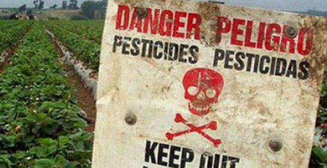 Los pesticidas matan