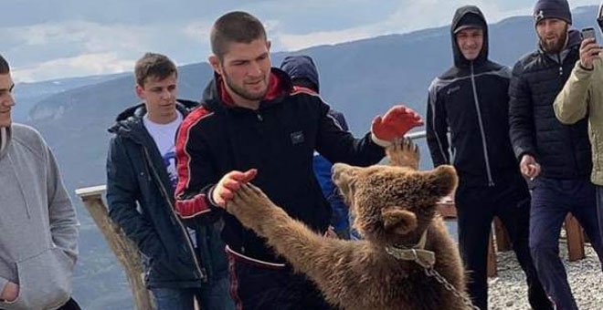 El luchador de UFC Khabib Nurmagomedov, en el ojo huracán por maltratar a un osezno