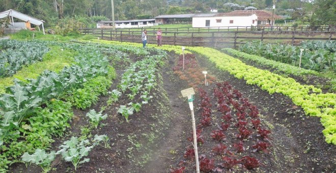 El mundo rural más allá del Ministerio de Agricultura. La agricultura y la alimentación más allá del Ministerio de Agricultura.