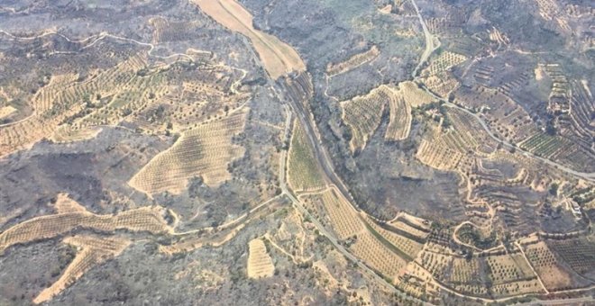 5.050 hectàrees cremades, el balanç final de l'incendi de la Ribera d'Ebre