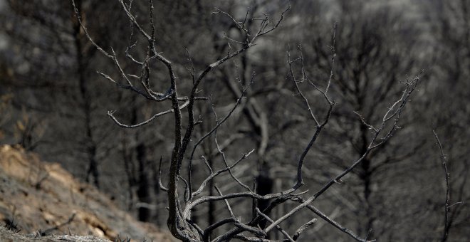 Controlado el incendio de Beneixama (Alicante) tras arrasar 900 hectáreas
