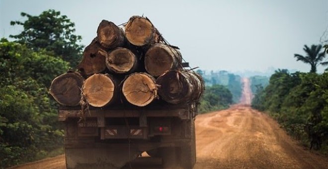 La deforestación crece un 40% en Brasil mientras políticas de Bolsonaro destruyen el Amazonas