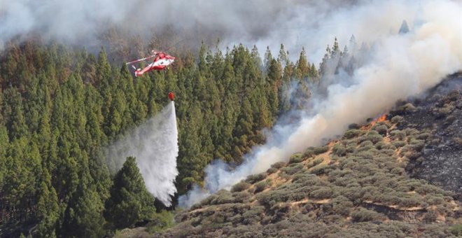 El incendio de Gran Canaria sigue activo y ya afecta a 1.500 hectáreas