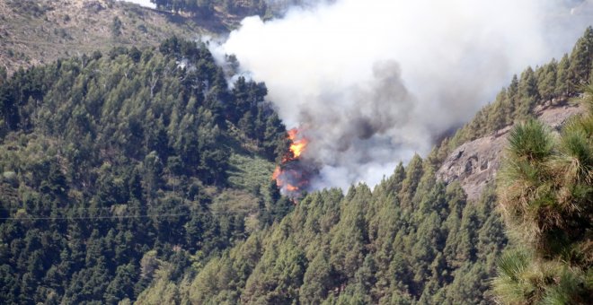 El incendio de Gran Canaria arrasa 6.000 hectáreas y provoca 9.000 evacuaciones