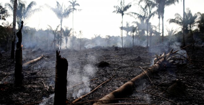 Los fuegos en la Amazonia se incrementan un 83% bajo la falta de control de Bolsonaro