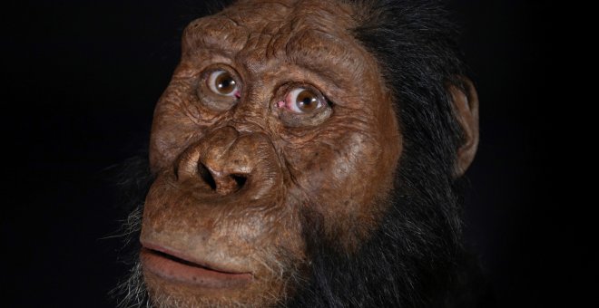 Hallan en Etiopía el cráneo de un antepasado del Homo sapiens