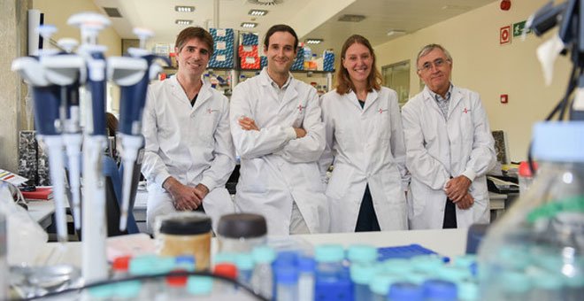 Investigadores españoles descifran las claves de la predisposición genética a la leucemia