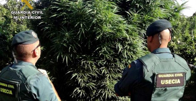 Detenido un policía local de un pueblo de Murcia con una tonelada de marihuana