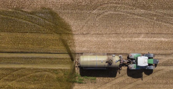 ¿Qué papel tiene la agricultura en la transmisión de la resistencia a antibióticos?