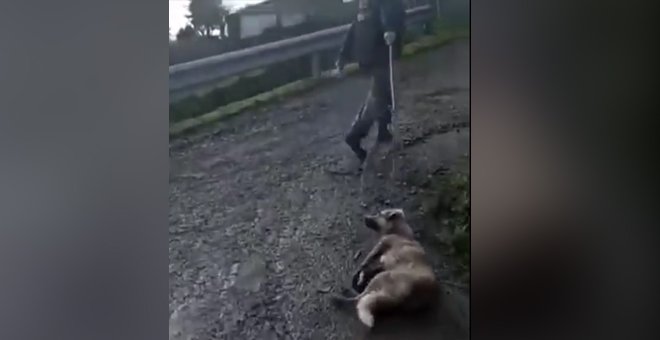 Un cazador arrastra por el suelo a su perra tras dispararle y propinarle una paliza