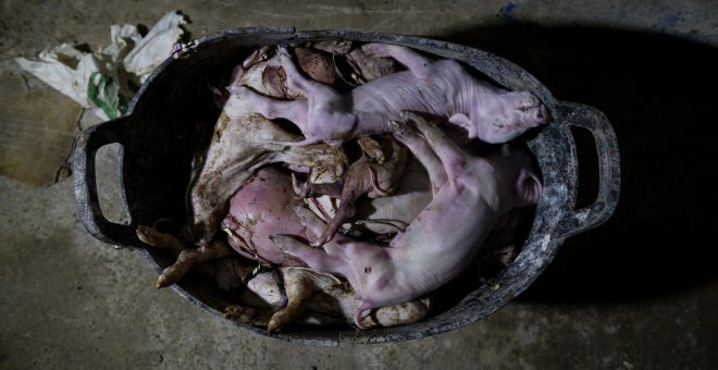Los animalistas critican el corto de Campofrío y piden que abra las puertas de los mataderos al público