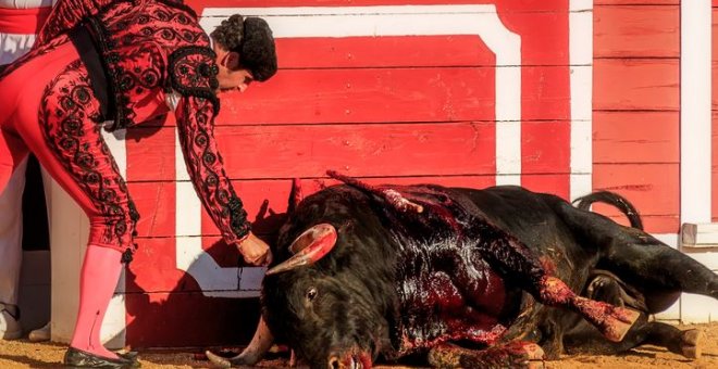 Las corridas de toros sin maquillaje