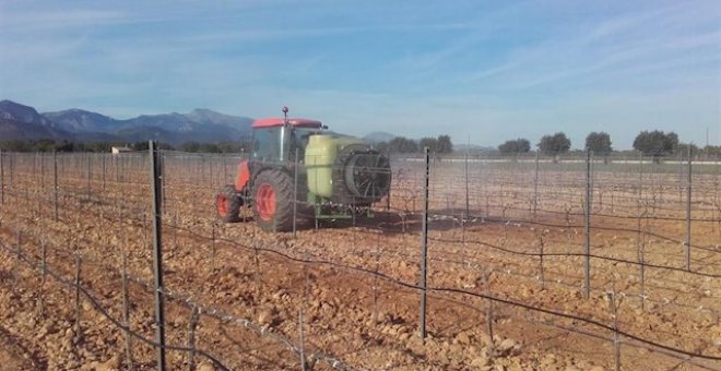 Labradores de sofá: más de 600.000 dueños de campos cobran de la UE sin trabajarlos