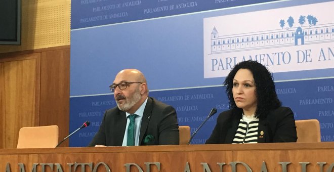 Una diputada de Vox en Andalucía deja el partido, relata episodios machistas y denuncia acoso laboral