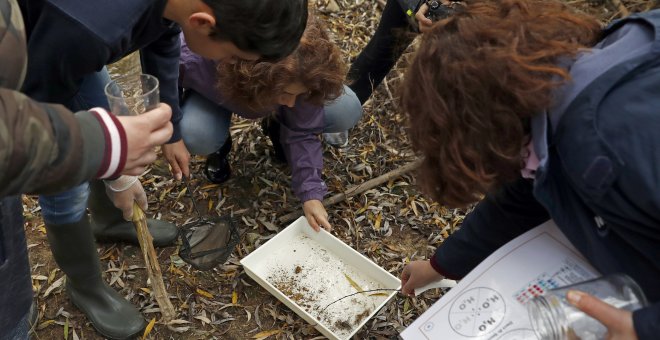 Dominio Público - La educación ambiental: una cuestión de supervivencia