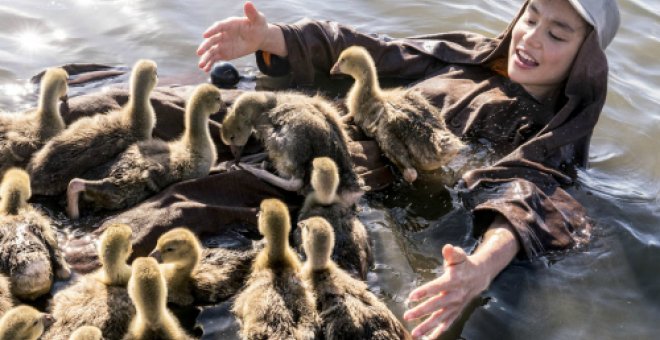 'Volando juntos': un cuento ecologista basado en hechos reales