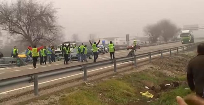 Los olivareros de Andújar protestan cortando la A-4