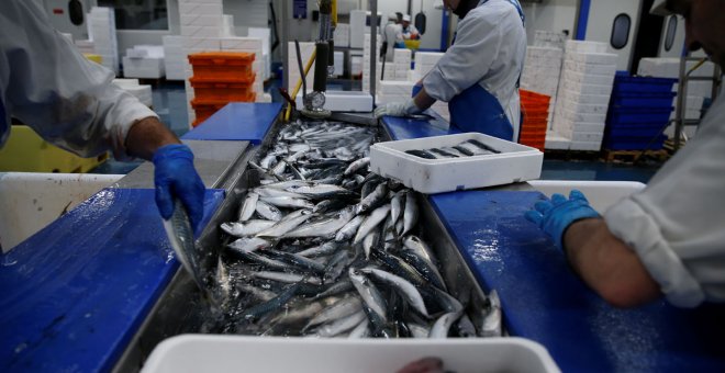 Otras miradas - ¿Deberíamos dejar de comer pescado?