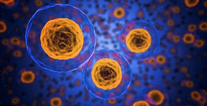 Investigadores españoles desarrollan microdispositivos que distinguen las células tumorales de las sanas