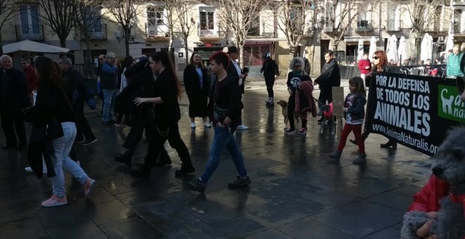 Manifestación en Logroño convocada por NAC en favor de los perros de caza