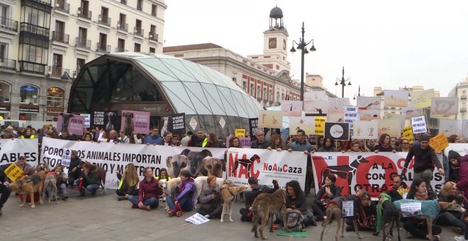 Miles de personas se manifiestan en España por los perros de caza