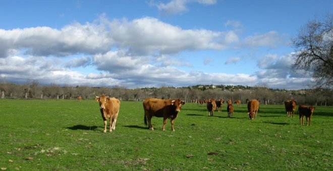 Las organizaciones agrarias se concentran este lunes en Santander por la "grave crisis" de precios de los productos en origen