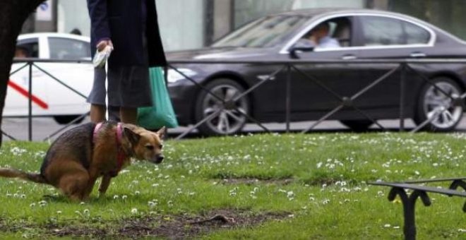 Multa de 1.500 euros a quien no limpie los orines y las heces de su perro en Girona