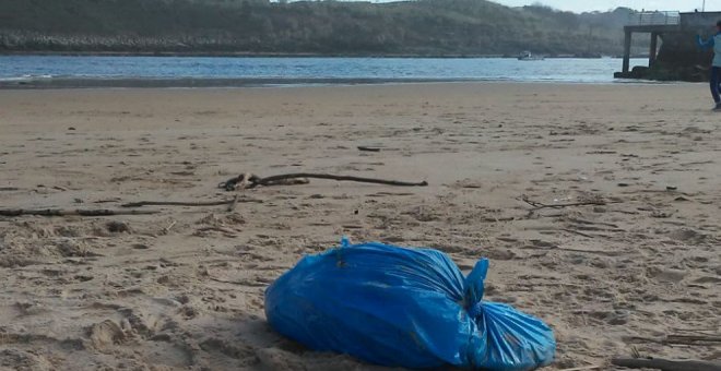 Aparece un perro de caza muerto en una playa de Suances