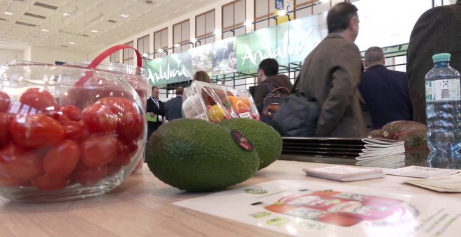 Andalucía pedirá al Gobierno rebajar al 50% la tributación de frutas y hortalizas