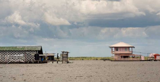 La gran importancia de Surinam para afrontar el cambio climático