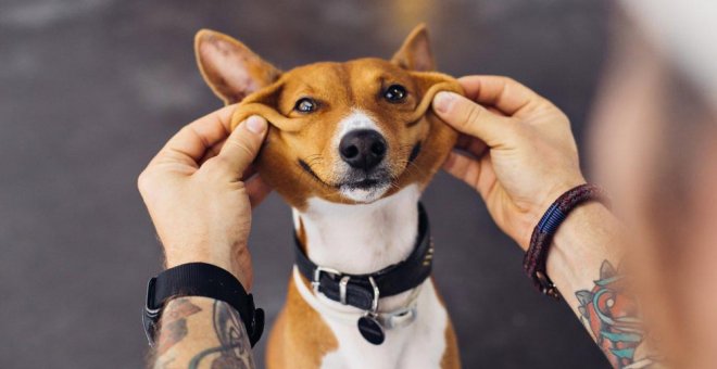 Otras miradas - ¿Convivir con mascotas protege el cerebro?