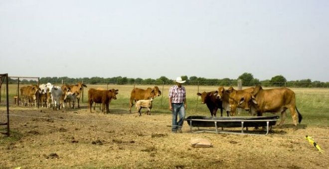 El campo estadounidense, en bancarrota