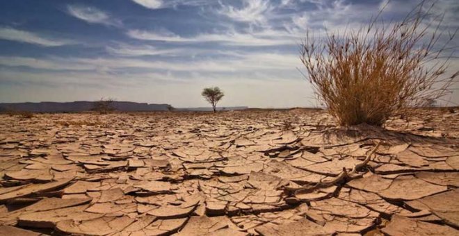 La 'Ley de cambio climático' llegará al Parlamento en marzo