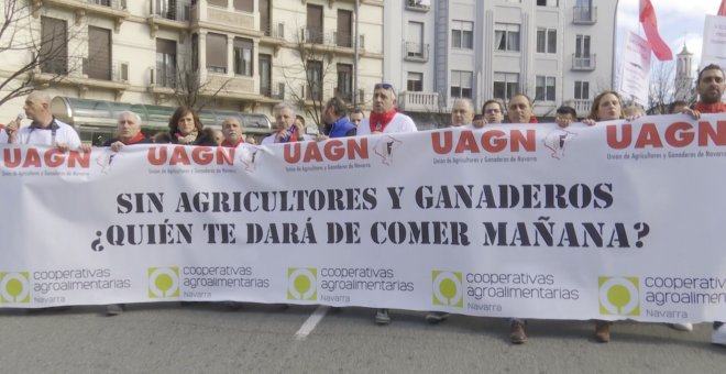 Agricultores y ganaderos se manifiestan en Pamplona y Granada