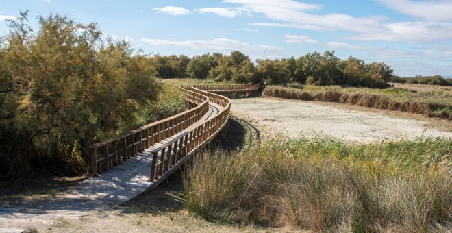 La Junta apoya un trasvase de 20 hectómetros cúbicos a Las Tablas de Daimiel para garantizar su estado